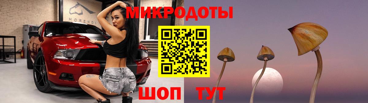 Кимовск  Псилоцибиновые грибы MAGIC MUSHROOMS  Псилоцибиновые грибы Psilocybe  Вход с VPN 